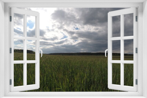 Fototapeta Naklejka Na Ścianę Okno 3D - Felder, Wiese, Natur