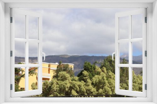 Fototapeta Naklejka Na Ścianę Okno 3D - Palm trees towering in the Tenerife skies