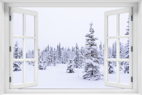 Fototapeta Naklejka Na Ścianę Okno 3D - A panorama view of snowy winter landscape in northern Canada in December, cold freezing, icy months. Snow covered spruce, pine trees in open land, wilderness, woods, forest. 