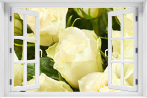 Fototapeta Naklejka Na Ścianę Okno 3D - white roses