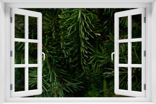 Fototapeta Naklejka Na Ścianę Okno 3D - Green branches of a Christmas tree. Background.