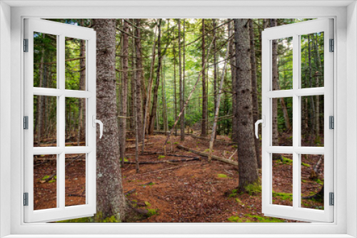 Fototapeta Naklejka Na Ścianę Okno 3D - Acadia National Park