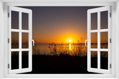 Fototapeta Naklejka Na Ścianę Okno 3D - End of a summer day on the San Francisco East Bay, Coyote Point, California. Brilliant sunset setting over the bay with silhouette of wild flowers in foreground
