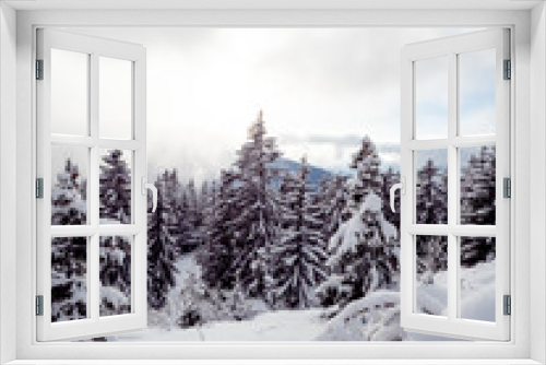 Fototapeta Naklejka Na Ścianę Okno 3D - Beautiful Snow