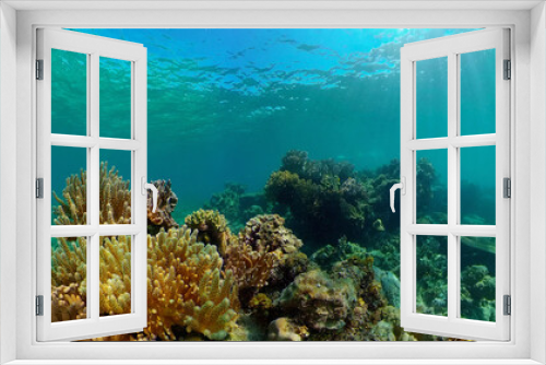 Fototapeta Naklejka Na Ścianę Okno 3D - Coral reef and tropical fishes. The underwater world of the Philippines. Underwater colorful tropical coral reef seascape.