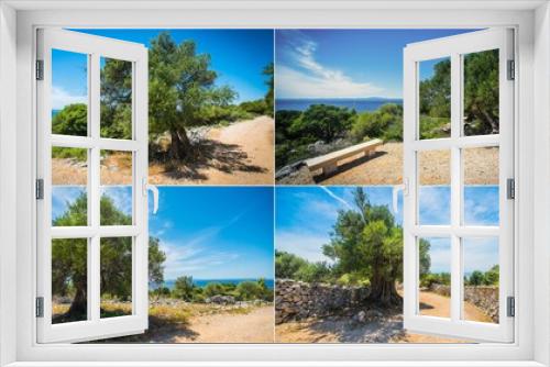 Fototapeta Naklejka Na Ścianę Okno 3D - Olive Trees Garden, Mediterranean old olive field. Croatia olive grove, Lun, island Pag. - Image