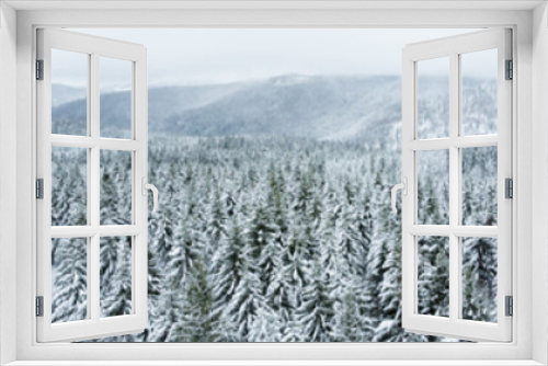 Fototapeta Naklejka Na Ścianę Okno 3D - Panorama Schwarzwald Schnee Wald mit Tannen
