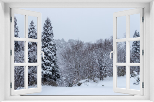 Fototapeta Naklejka Na Ścianę Okno 3D - 山の雪景色　冬　森林