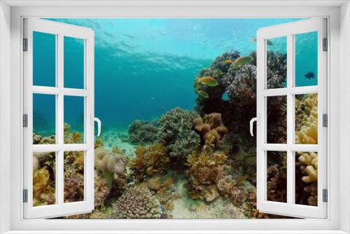 Fototapeta Naklejka Na Ścianę Okno 3D - Underwater Scene Coral Reef. Tropical underwater sea fishes. Philippines.