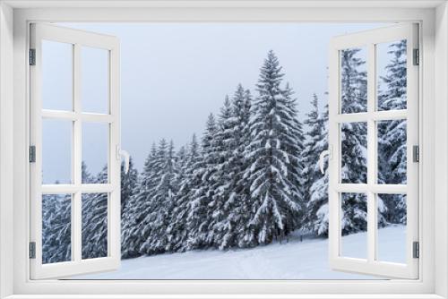 Fototapeta Naklejka Na Ścianę Okno 3D - Schwarzwald im Winter