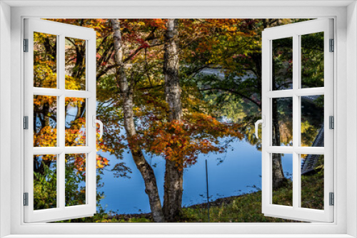Fototapeta Naklejka Na Ścianę Okno 3D - 紅葉と池の水に写った森の木
