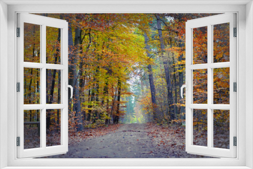 Fototapeta Naklejka Na Ścianę Okno 3D - Herbst am Döllnsee 