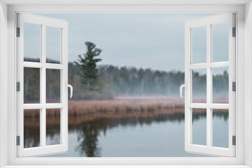 Fototapeta Naklejka Na Ścianę Okno 3D - Foggy Marsh