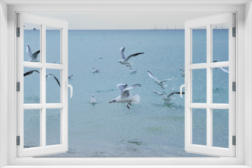 Fototapeta Naklejka Na Ścianę Okno 3D - Seagulls on the beach.