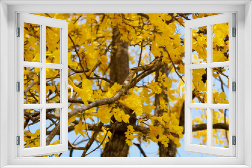 Fototapeta Naklejka Na Ścianę Okno 3D - yellow nature