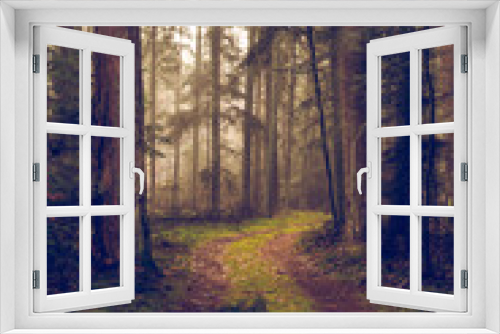 Fototapeta Naklejka Na Ścianę Okno 3D - Ścieżka w lesie 