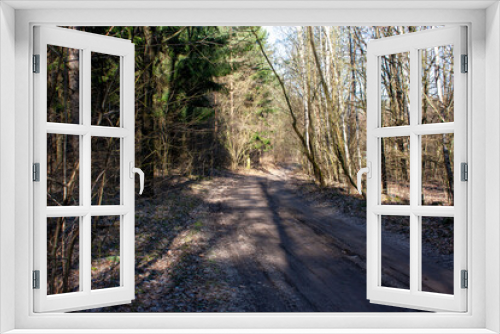 Fototapeta Naklejka Na Ścianę Okno 3D -  Forest road in early spring, the edge of a spruce forest, light and shadow.