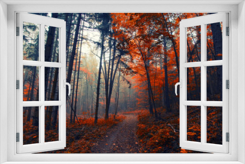 Fototapeta Naklejka Na Ścianę Okno 3D - path in misty autumn forest