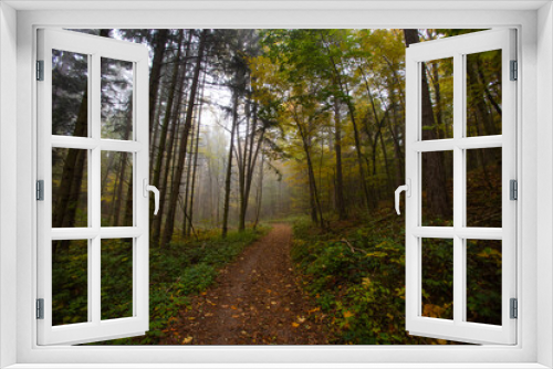 Fototapeta Naklejka Na Ścianę Okno 3D - path in misty autumn forest 