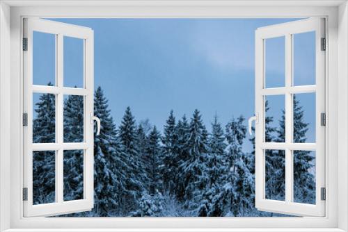 Fototapeta Naklejka Na Ścianę Okno 3D - Snowy spruce on a white cold winter day.