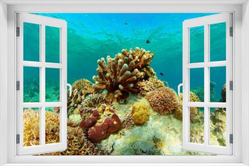 Fototapeta Naklejka Na Ścianę Okno 3D - Tropical sea and coral reef. Underwater Fish and Coral Garden. Underwater sea fish. Tropical reef marine. Colourful underwater seascape. Philippines.