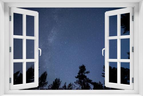 Fototapeta Naklejka Na Ścianę Okno 3D - Blue starry sky in the forest, Milky Way, at the edges of the treetops. Night shooting