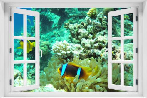 Fototapeta Naklejka Na Ścianę Okno 3D -  fish and coral reef