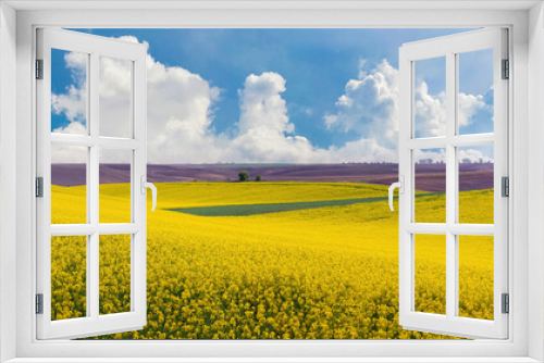 Fototapeta Naklejka Na Ścianę Okno 3D - Spring landscape with a yellow field of blooming rapeseed and a picturesque blue sky with white curly clouds