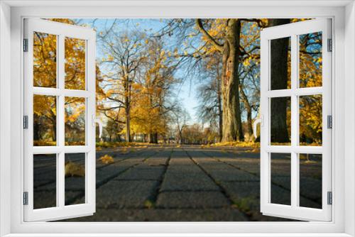 Fototapeta Naklejka Na Ścianę Okno 3D - Autumn Park