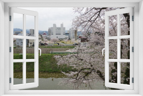 Fototapeta Naklejka Na Ścianę Okno 3D - 山形県の歴史ある公園の満開の桜