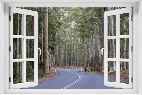 Fototapeta Naklejka Na Ścianę Okno 3D - Country road in the South Coast of NSW Australia