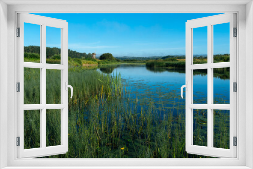 Fototapeta Naklejka Na Ścianę Okno 3D - State museum-reserve of Alexander Pushkin. Beautiful russian landscape with an old windmill on the bank of the Sorot river. July 2020.