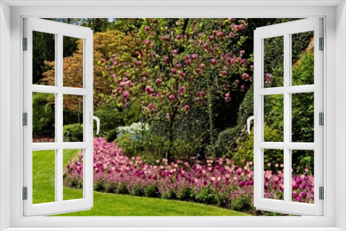 Fototapeta Naklejka Na Ścianę Okno 3D - Lush garden blooming in the spring with colorful tulips on the flower beds