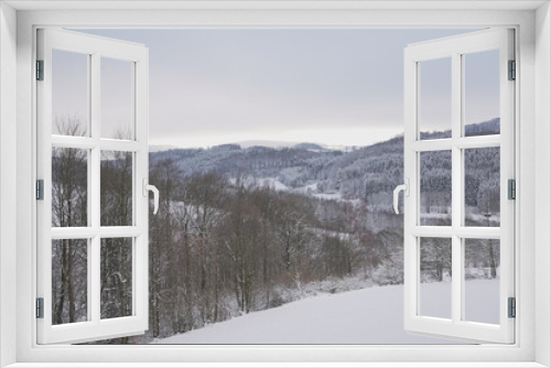 Fototapeta Naklejka Na Ścianę Okno 3D - Snow covered forest in winter