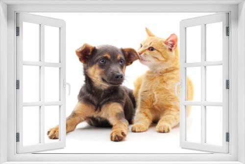 Fototapeta Naklejka Na Ścianę Okno 3D - Red dog with a kitten.