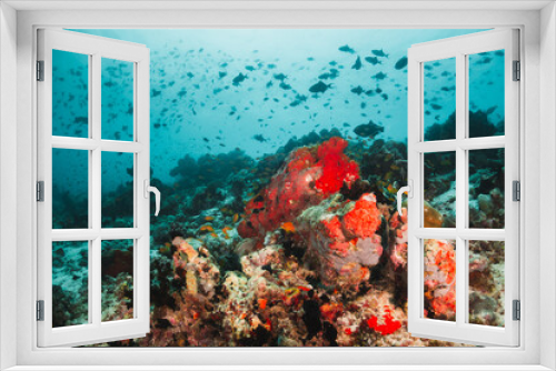 Fototapeta Naklejka Na Ścianę Okno 3D - Coral reef and scuba diving scene underwater,  colorful reef and tropical fish in clear blue water