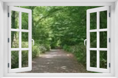 Fototapeta Naklejka Na Ścianę Okno 3D - a forest path