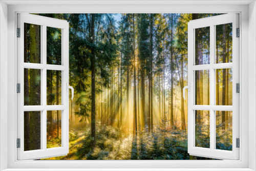 Fototapeta Naklejka Na Ścianę Okno 3D - Wonderful moment in the morning, sunbeams are coming through the fog in the forest, idyllic environment scenery for a recreating moody wallpaper.