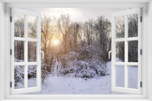 Fototapeta Naklejka Na Ścianę Okno 3D - Winter landscape panorama of snow and sun . The sun peeks out from behind the trees. Nature. Snow valley. Winter screensaver. article about winter tourism and recreation