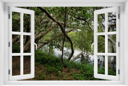Fototapeta Naklejka Na Ścianę Okno 3D - Trees by the Lake