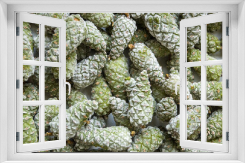Fototapeta Naklejka Na Ścianę Okno 3D - Frozen pine cones, anti-stroke medicinal tinctures
