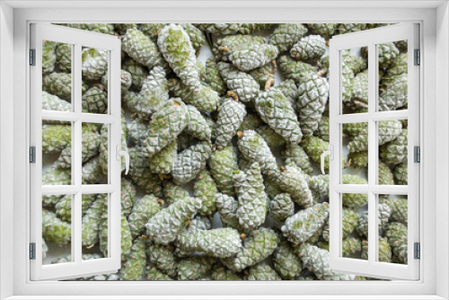 Fototapeta Naklejka Na Ścianę Okno 3D - Frozen pine cones, anti-stroke medicinal tinctures