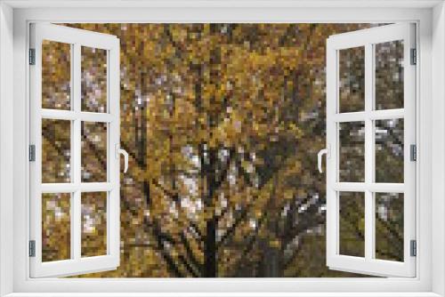 Fototapeta Naklejka Na Ścianę Okno 3D - the view through the autumn leaves of a tree into the sky