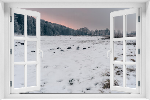 Fototapeta Naklejka Na Ścianę Okno 3D - Moor Landschaft mit Schnee und Wald bei Sonnenuntergang im Winter