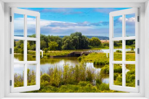 Fototapeta Naklejka Na Ścianę Okno 3D - Summer panorama with trees by the river and picturesque sky in sunny weather