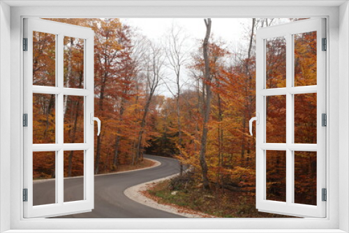 Fototapeta Naklejka Na Ścianę Okno 3D - road in autumn forest, TURN IN THE ROAD, YELLOW, RED, ORANGE, 