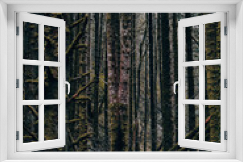 Fototapeta Naklejka Na Ścianę Okno 3D - Dismal forest