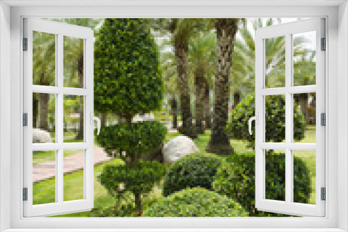 Fototapeta Naklejka Na Ścianę Okno 3D - Dwarf shrubs.