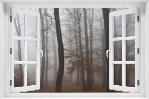Fototapeta Naklejka Na Ścianę Okno 3D - there is something huntingly beautiful in the cold autumn days when the fog covers leafles trees