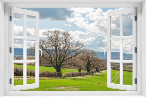 Fototapeta Naklejka Na Ścianę Okno 3D - Springtime landscape with trees and clouds